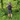Outdoors and Survival