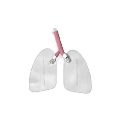 Replacement Kit, Airway Left & Right Lungs