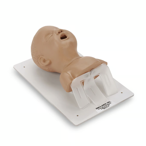 Simulaids Infant Intubation Trainer