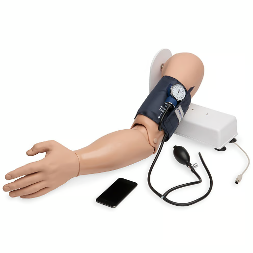 Simulaids Blood Pressure Arm Simulator with iPod Technology
