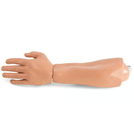 Simulaids Rescue Randy Large Body Replacement Lower Arm & Hand