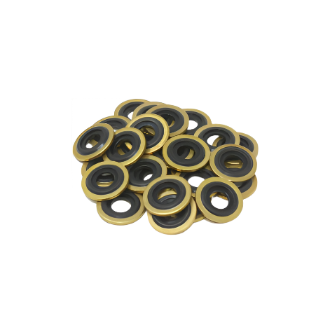 Ever Ready First Aid Oxygen Regulator Brass Yoke Washer Seals