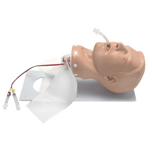 Adult Deluxe Airway Management Trainer