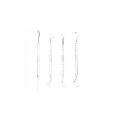 Ever Ready First Aid Stainless Steel Dental Pick/Probe Set-Professional Dental Tartar Scaler Scraper Tools for Professional, Personal and Pets