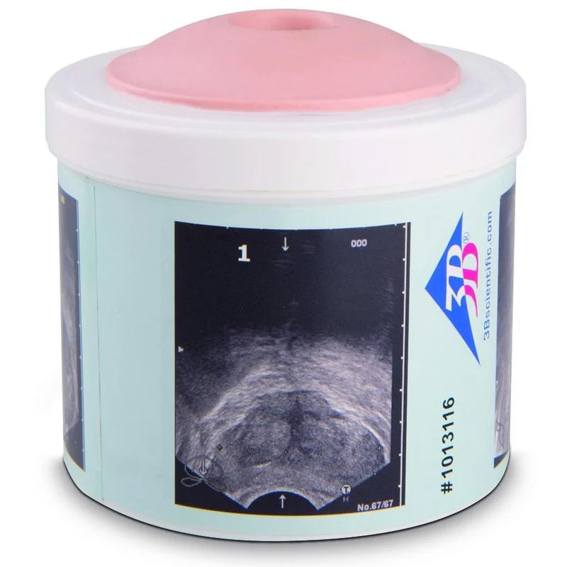 Simulaids Prostate Examination Trainer, 4 stages