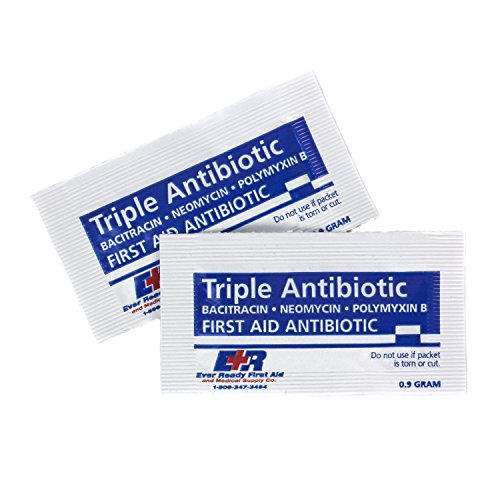 Ever Ready First Aid Triple Antibiotic Ointment Packets, .9g