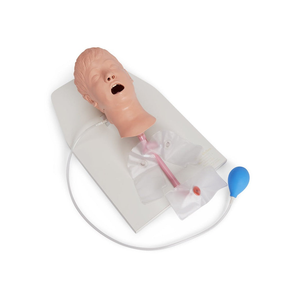 Life/form® Child Airway Management Trainer with Stand